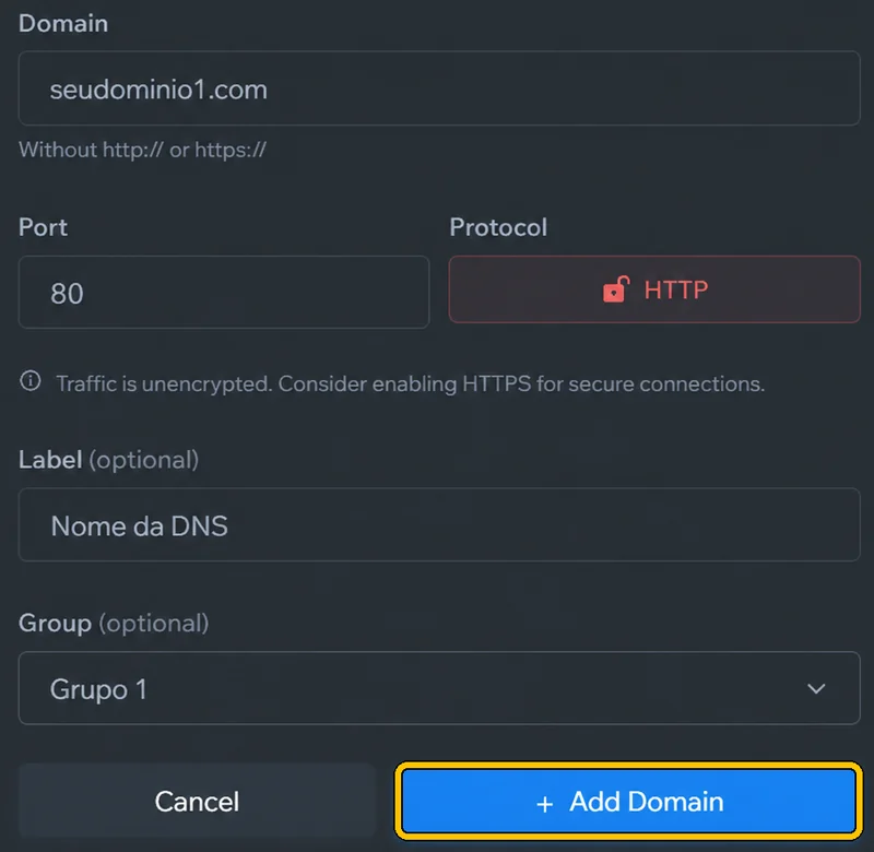 Em **Domain**, digite o endereço **sem** `http://`. Em **Port** e **Protocol**, use os dados do seu servidor. Dê um nome em **Label** (ex.: **DNS 1**), escolha o grupo em **Group** e toque em **+ Add Domain**.